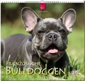 Cover: Franz&ouml;sische Bulldoggen - St&uuml;rtz