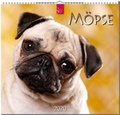 Cover: M&ouml;pse - St&uuml;rtz