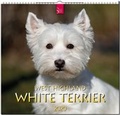 Cover: West Highland White Terrier - St&uuml;rtz