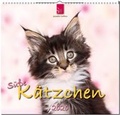 Cover: S&uuml;&szlig;e K&auml;tzchen - St&uuml;rtz
