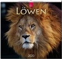 Cover: L&ouml;wen - St&uuml;rtz