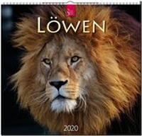 Enlarge image Cover: Löwen - Stürtz