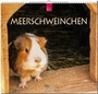 Cover: Meerschweinchen - Stürtz