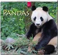 Abbildung von: Pandas - Stürtz