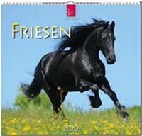 Abbildung von: Friesen - Stürtz