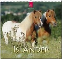 Abbildung von: Isländer - Stürtz
