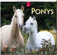 Abbildung von: Ponys - Stürtz