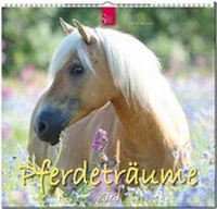 Abbildung von: Pferdeträume - Stürtz