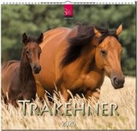 Abbildung von: Trakehner - Stürtz
