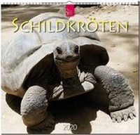 Abbildung von: Schildkröten - Stürtz