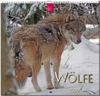 Enlarge image Cover: Wölfe - Stürtz