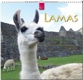 Cover: Lamas - St&uuml;rtz