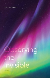 Enlarge image Cover: Observing the Invisible - Louisiana State University Press