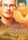 Cover: Le Reveil de David (Translation) - Dreamspinner Press