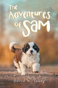 Cover: The Adventures of Sam - Christian Faith