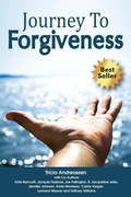 Cover: Journey To Forgiveness - Clpli