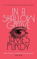Cover: In a Shallow Grave - VALANCOURT BOOKS