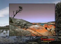 Abbildung von: Tasmania - BoD - Books on Demand