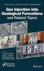 Cover: Gas Injection into Geological Formations and Related Topics - Wiley-Scrivener