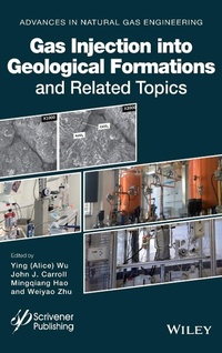 Enlarge image Cover: Gas Injection into Geological Formations and Related Topics - Wiley-Scrivener