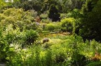 Enlarge image Cover: Gartenfreuden - Monumente Publikationen. Der Verlag der Deutschen Stiftung Denkmalschutz