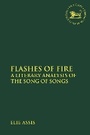 Cover: Flashes of Fire - T.& T.Clark Ltd