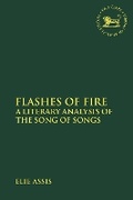 Cover: Flashes of Fire - T.& T.Clark Ltd