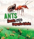 Cover: Ants - Raintree