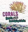 Cover: Corals - Raintree