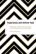 Cover: Experience and Infinite Task - Rowman & Littlefield International