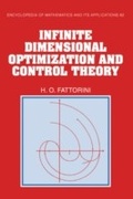 Bild: Infinite Dimensional Optimization and Control Theory - Cambridge University Press