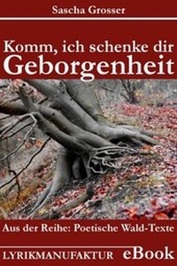 Abbildung von: Komm, ich schenke dir Geborgenheit - epubli