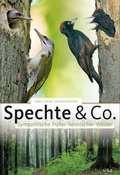 Cover: Spechte & Co. - AULA-Verlag