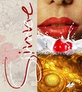 Cover: Die Sinne - Feiyr