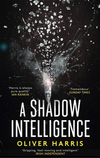 Enlarge image Cover: A Shadow Intelligence - Abacus