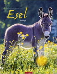 Abbildung von: Esel Kalender 2020 - Weingarten