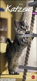Bild: Whiskas Katzenleben Kalender 2020 - Heye