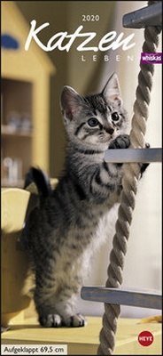 Bild vergrößern Bild: Whiskas Katzenleben Kalender 2020 - Heye