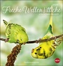 Bild: Freche Wellensittiche Postkartenkalender Kalender 2020 - Heye
