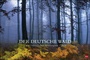 Bild: Der deutsche Wald - Ein literarischer Spaziergang Kalender 2020 - Heye