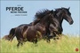 Cover: Pferde Meine Freunde Kalender 2020 - Heye