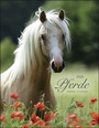 Cover: Pferde Classics Kalender 2020 - Heye