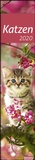 Bild: times&more Katzen long Kalender 2020 - Heye