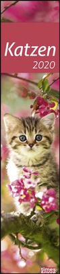 Bild vergrößern Bild: times&more Katzen long Kalender 2020 - Heye