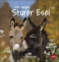 Abbildung von: Esel Postkartenkalender - Von wegen sturer Esel Kalender 2020 - Heye