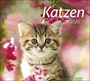 Bild: times&more Katzen Bildkalender Kalender 2020 - Heye