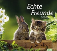 Abbildung von: times&more Echte Freunde Bildkalender Kalender 2020 - Heye