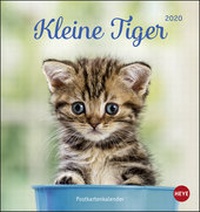 Bild vergrößern Bild: Katzen Postkartenkalender Kleine Tiger Kalender 2020 - Heye