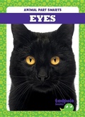 Cover: Eyes - Tadpole Books