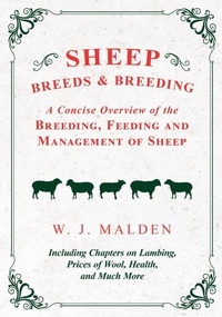 Abbildung von: Sheep Breeds and Breeding - A Concise Overview of the Breeding, Feeding and Management of Sheep, Including Chapters on Lambing, Prices of Wool, Health, and Much More - Read Books